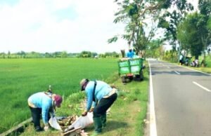 Sampah Liar Disisir, DLH Bojonegoro Bergerak Selamatkan Lingkungan