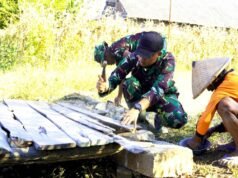 TMMD 129 Bojonegoro Pererat Kemanunggalan, Mbah Sarijan Merasa Dibantu Anak Sendiri