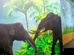 PIG Geopark Bojonegoro Siap Dongkrak Riset, Edukasi dan Ekonomi Masyarakat