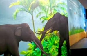 PIG Geopark Bojonegoro Siap Dongkrak Riset, Edukasi dan Ekonomi Masyarakat