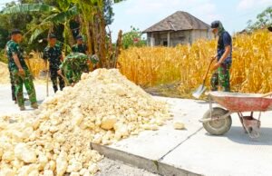 TMMD ke 129 Bojonegoro Kebut Perataan Bahu Jalan, Satgas Gunakan Gerobak Dorong