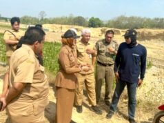 Pemkab Bojonegoro Hentikan Aktivitas Galian Tanah di Trucuk, Wabup Nurul Sidak ke Lokasi