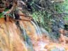 Wisata Banyu Kuning Bojonegoro, Surga Air Panas Alami yang Eksotis