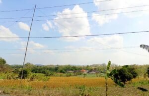 Cuaca Bojonegoro Diprediksi Cerah, Suhu Siang Tembus 31 Derajat