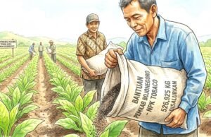 Petani Tembakau Bojonegoro Sumringah, 526 Ton Pupuk NPK Gratis Sudah Tersalurkan