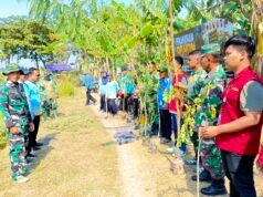 TMMD Bojonegoro Hijaukan Kesongo, 50 Pohon Ditanam di Tiga Lokasi
