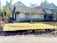 Harga Tembakau Kering di Kedungadem Bojonegoro Tembus Rp39 Ribu, Petani Sumringah