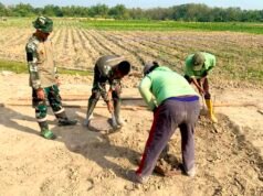 Lapak PKL Mulai Dibangun, TMMD Bojonegoro Buka Asa Usaha Warga