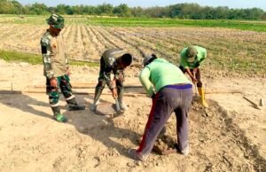 Lapak PKL Mulai Dibangun, TMMD Bojonegoro Buka Asa Usaha Warga