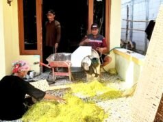 Harga Tembakau Kepoh Kepohbaru Bojonegoro Tembus Rp43 Ribu