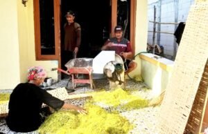 Harga Tembakau Kepoh Kepohbaru Bojonegoro Tembus Rp43 Ribu