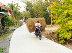 TMMD Bojonegoro, Jalan Cor 490 Meter di Dusun Mundu Kini Bikin Warga Lega