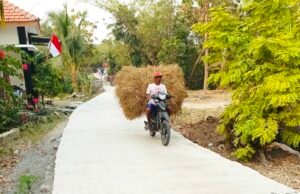 TMMD Bojonegoro, Jalan Cor 490 Meter di Dusun Mundu Kini Bikin Warga Lega