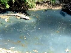 Sungai Pacal Berubah Gelap, Warga Desak DLH Bojonegoro Turun