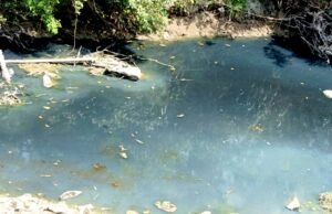 Sungai Pacal Berubah Gelap, Warga Desak DLH Bojonegoro Turun