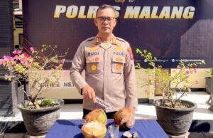 Sempat Hilang Berbulan-bulan, Pria di Malang Ditangkap Usai Aniaya Warga