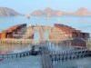 Gempa M7,7 Guncang NTT, Warga Labuan Bajo Ungkap Air Laut Surut