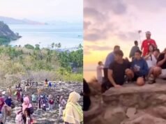 Detik-detik Gempa NTT M 7,7, Wisatawan Pulau Padar Saling Berpegangan