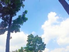 Prakiraan Cuaca Bojonegoro: Cerah Seharian, Ada Kebakaran Lahan