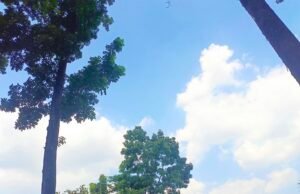Prakiraan Cuaca Bojonegoro: Cerah Seharian, Ada Kebakaran Lahan