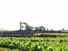 Sempat Ditertibkan, Galian C Ngampal Sumberrejo Bojonegoro Beroperasi Lagi