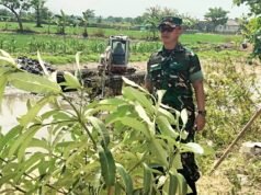 Cegah Banjir di Lamongan, Sungai Sidomulyo Dibersihkan
