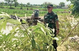 Cegah Banjir di Lamongan, Sungai Sidomulyo Dibersihkan
