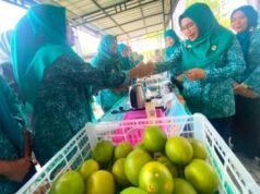 Pekarangan Jadi Cuan, UMKM Semenkidul Bojonegoro Makin Moncer