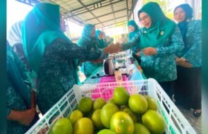 Pekarangan Jadi Cuan, UMKM Semenkidul Bojonegoro Makin Moncer